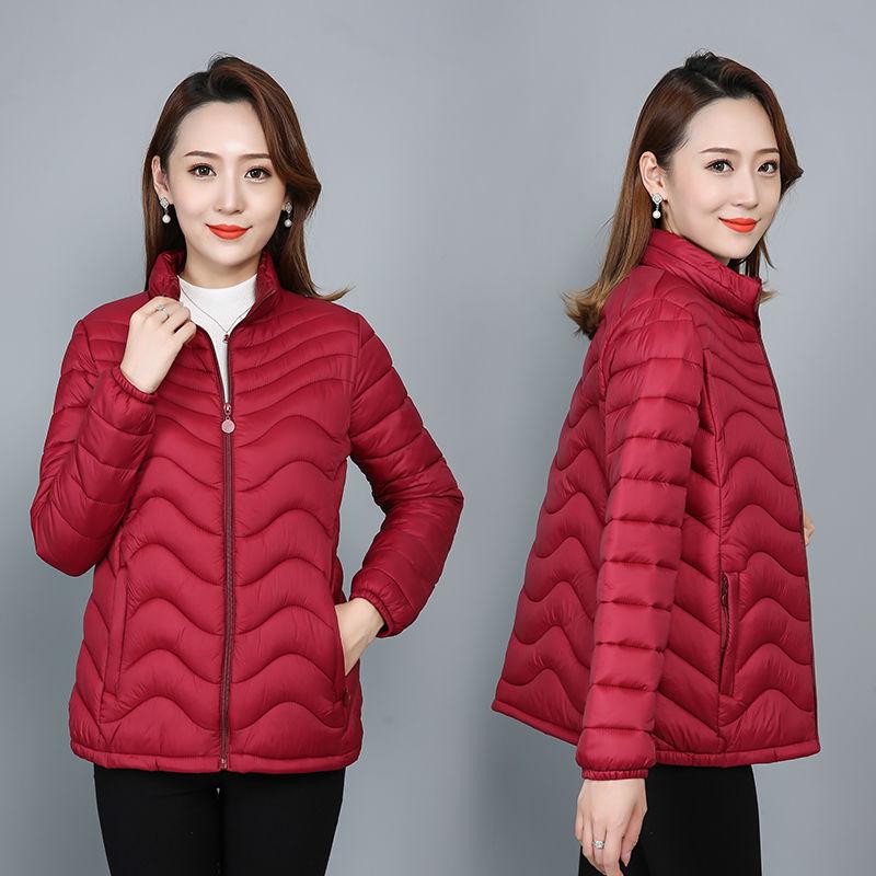 Close-fitting Small Padded Jacket, Down Padded Jacket, Inner Wear To Keep Warm, Outer Wear All-match Women's Short Winter Cotton Jacket