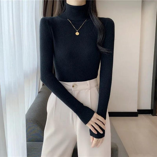 Women Turtleneck Sweater Autumn Winter Pullover Sweater Thick Warm Slim Casual Knitted Jumper White Black Pink Women Top Clothes