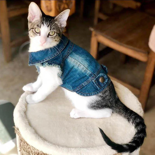 Denim Cat Clothes for Cats Fashion Cat Coat Jacket Warm Outfits Lovely Pet Cat Clothing Casual Jeans Outfits for Dogs Costume