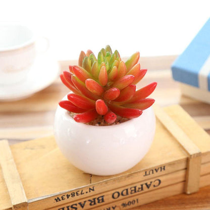 Artificial Flowers Simulation Succulents Potted Creative Living Room Desktop Green Plants Ornaments Objects Shelf Decorations