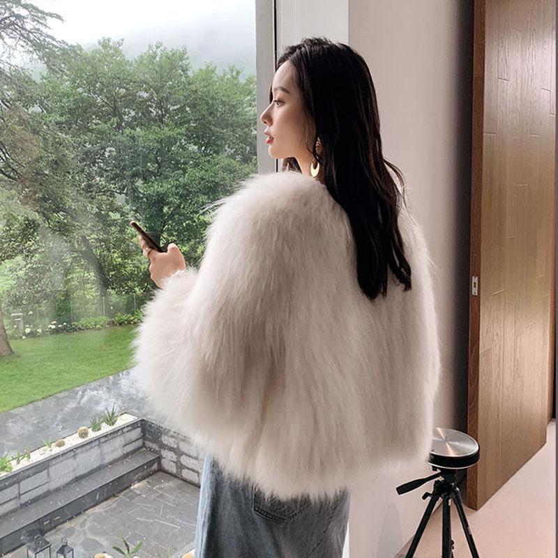 Short Female Fox Fur Coat Korean Version of Haining Mink Fleece and Fur Coat