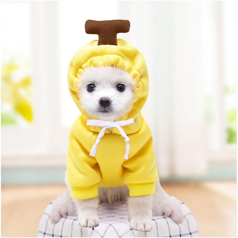 Dog's Winter Clothes Cute Fruit Dog Coat Hoodies Pet Dogs Costume Jacket Carrot Banana Fog Puppy Drawstring Hoodie Pet Warm Clothing Jumpsuit Outwear