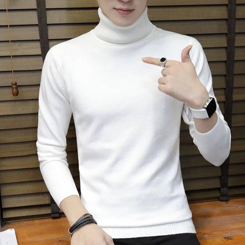 Cashmere Sweater Men Turtleneck Brand Mens Sweaters Slim Fit Solid Color Pullovers Men Knitwear Male