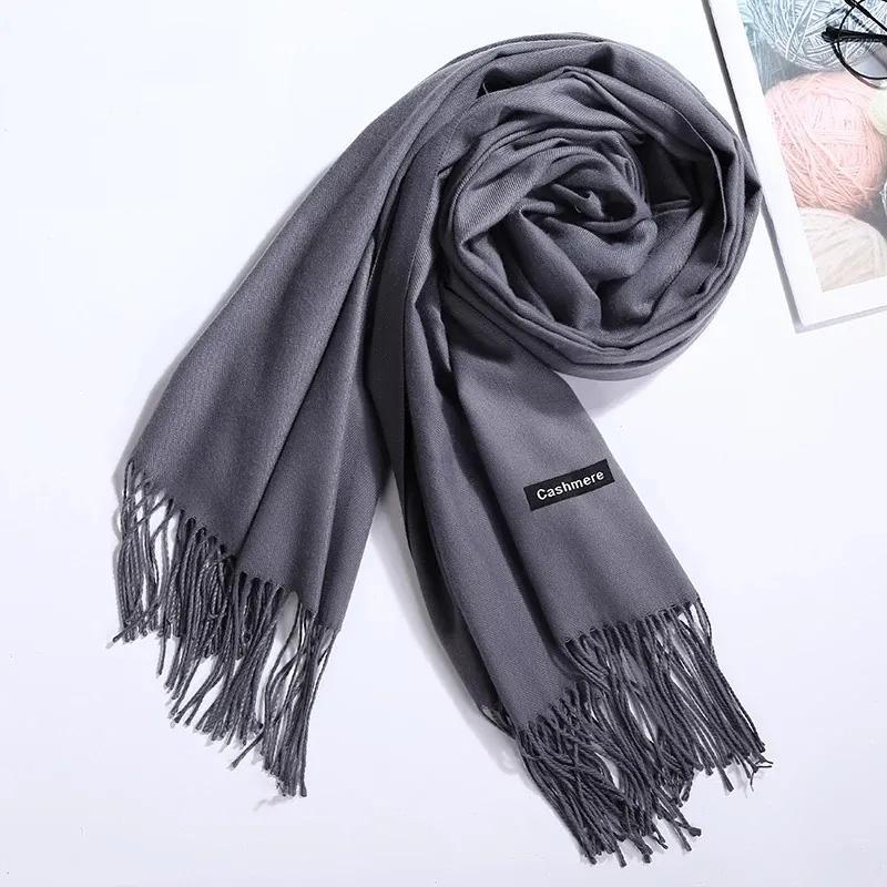 Women's Winter Scarf Korean Style Pure Color Imitation Cashmere Thick All Match Shawl Warm Long Bib Casual Outdoor Solid Tassel Wrap Shawl Neck Scarf