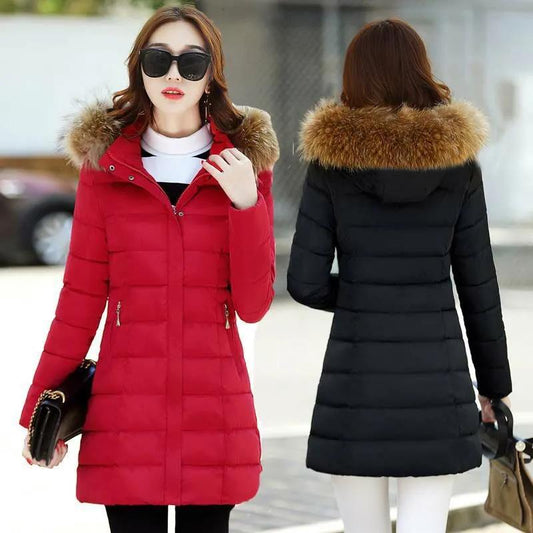 Ladies Down Jacket Winter Fashion Big Fur Collar Hooded Jacket Thick and Cotton Warm Mid-length Jacket