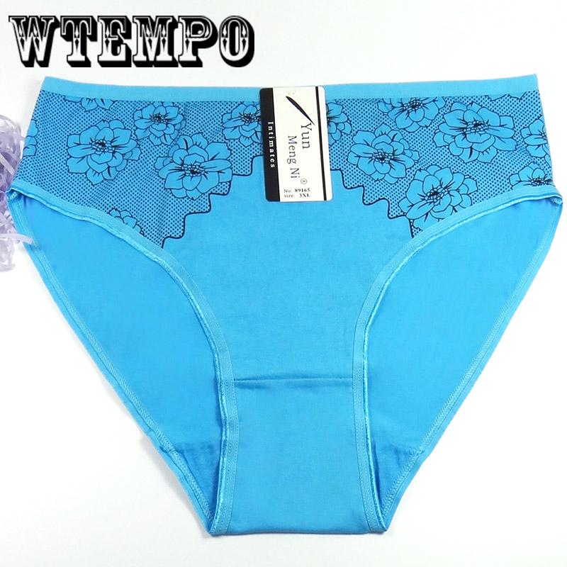 6 Pcs/Lot Plus Size Women Underwear Panties Seamless Sexy Briefs Panties for fat women cotton