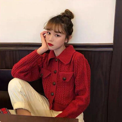 Twist Sweater Short Jacket Women Spring and Autumn Retro Hong Kong Style Jacket Loose Wild College Style Sweater Cardigan