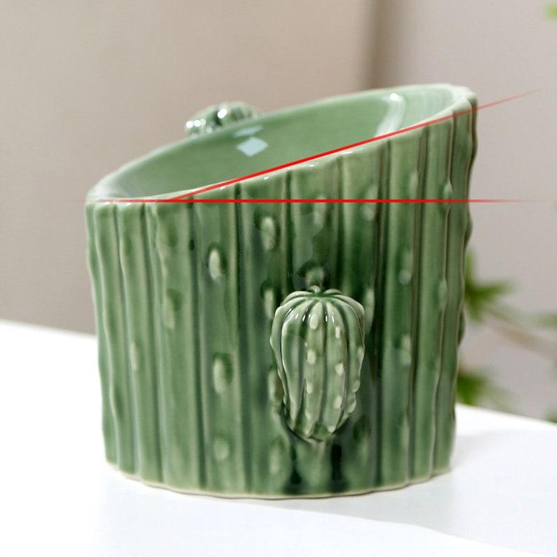 Cactus Ceramic Cat Bowl Pet Bowl Dog Bowl Elevated Bowl Feed Bowl Water Bow