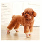 Pet Dog Shoes Teddy Autumn Winter Models for Small Dogs Plus Velvet Warmth Breathable Non-slip Soft Bottom Wear-resistant Boots Pet Cat Walking Shoes