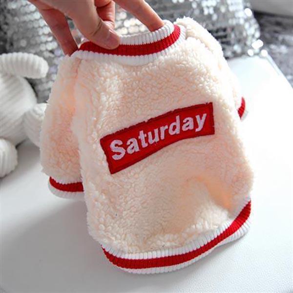 Pet Bichon Schnauzer Small Dog Teddy Puppy Dog Clothes Fall Winter Clothes Tide Brand Two-legged Clothes Sweater