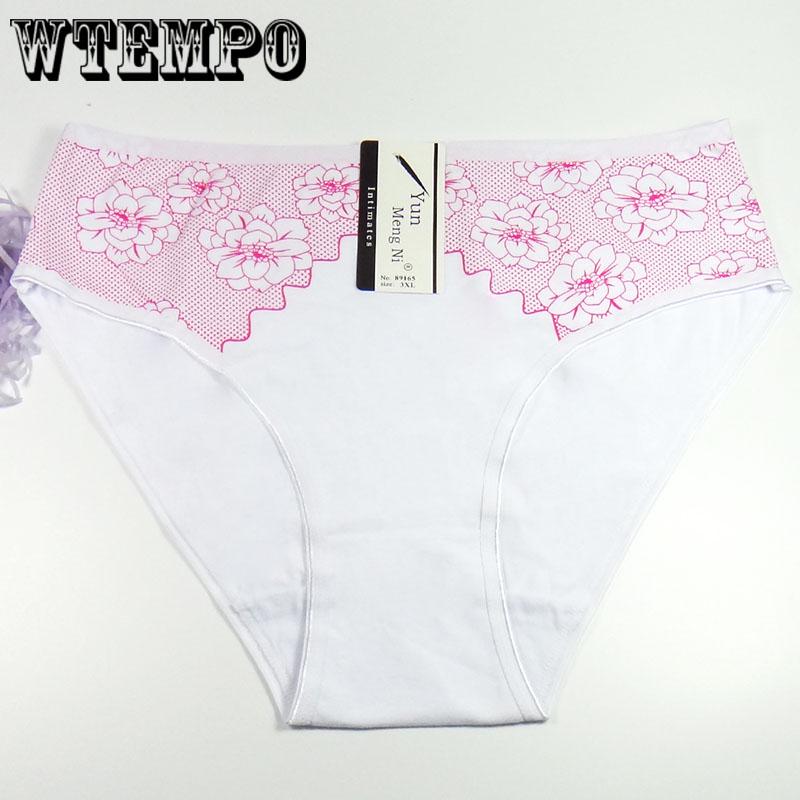 6 Pcs/Lot Plus Size Women Underwear Panties Seamless Sexy Briefs Panties for fat women cotton