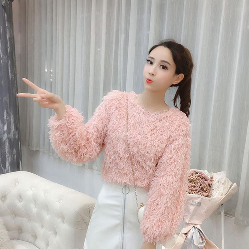 Mink Autumn Fashion Sweater Korean Loose Slim Pullover Short Casual Young Women's Jacket