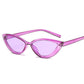 Cat Eye Style Clear Frame Sunglasses Women Purple Red Pink Summer Accessories for Beach Fashion Fema