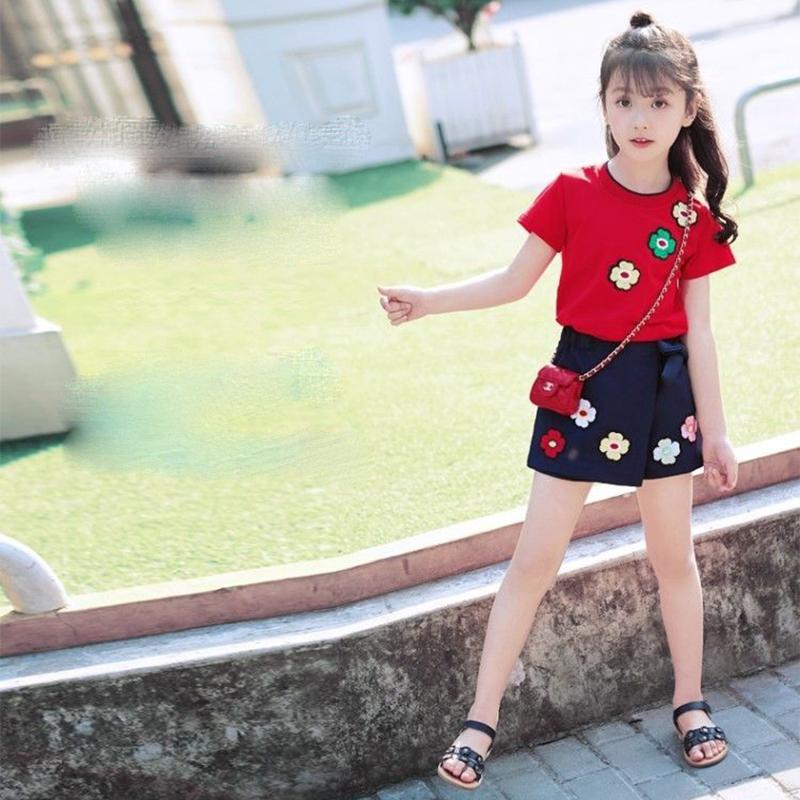 2PCS Children Clothing Set Spring Summer Girls Suits Embroidery Short Sleeve Tops + Pants Clothing Set