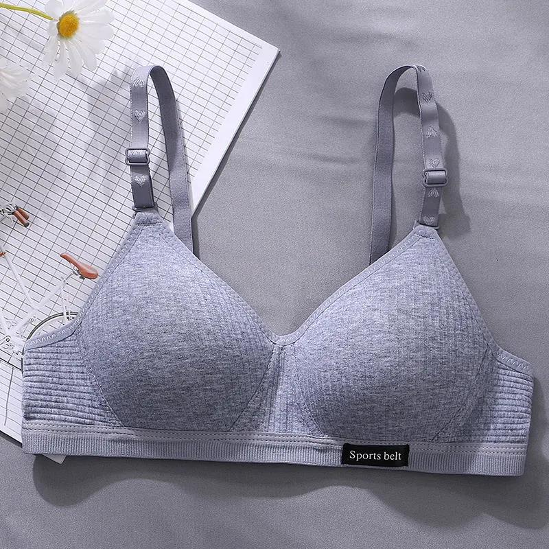 Korean Version of Pure Cotton Skin-friendly Breathable Sweat-absorbing Thread Thin No Steel Ring Small Chest Gathered Women's Underwear Bra