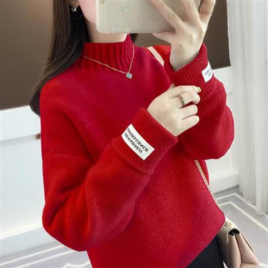 2019 Women Sweater Casual Turtleneck Female Pullover Long Sleeve Warm Soft Autumn Winter Knitted