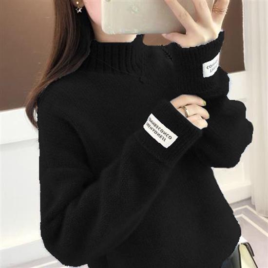 2019 Women Sweater Casual Turtleneck Female Pullover Long Sleeve Warm Soft Autumn Winter Knitted