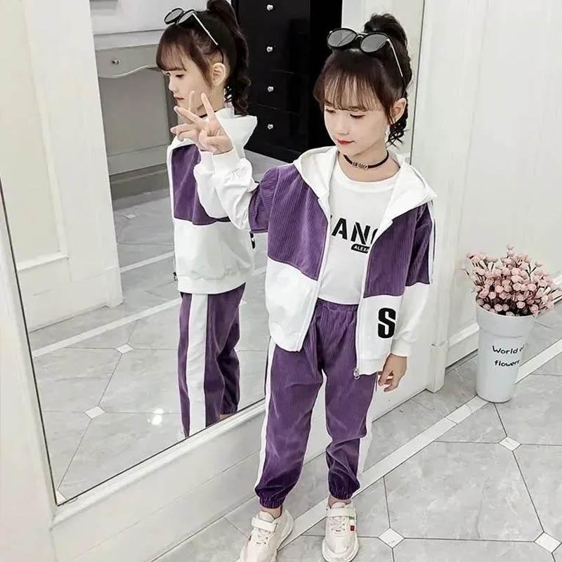 Girls Spring and Autumn Clothing Children Fashion and Comfortable Clothing Long-sleeved Hooded Zipper Jacket Warehouse Leisure Sports Two-piece