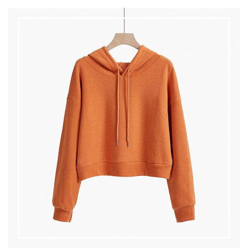 No Velvet Loose Korean Style Pullover Long-sleeved Blouse Short Hooded Sweater Women