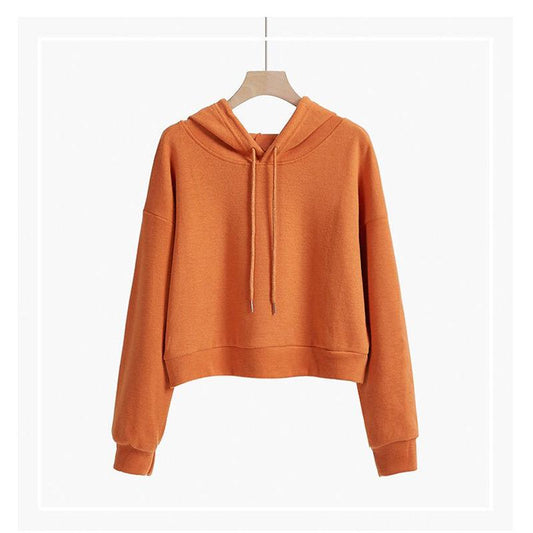 No Velvet Loose Korean Style Pullover Long-sleeved Blouse Short Hooded Sweater Women