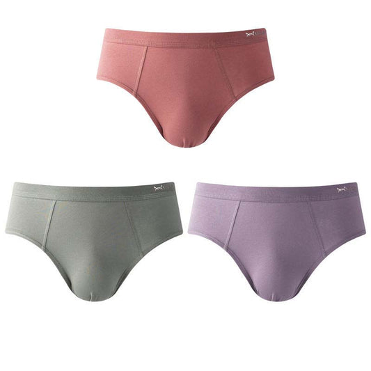 Cotton Underwear Men's Triangle Men's Seamless Breathable Underwear