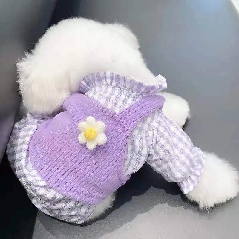 Dog Clothes Spring Autumn Winter Clothes Cat Puppy Cute Shirt Vest Sweater Two-Piece Set Teddy Small Dog Pet Clothes Cute Lovely Outdoor Outfit