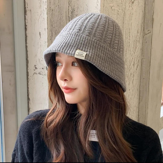 Winter Woolen Hats Korean Fashion Knitted Patch Basin Hats Women's Casual Warm Hats