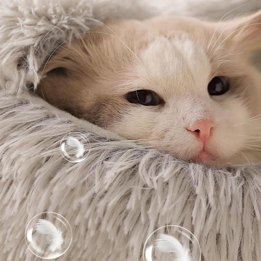 Round Plush Cat Bed Soft Warm Pets Nest Kennel Small Dog Bed Mat Pet Cushion Sleeping Sofa Cotton Bed Dogs House Winter Warm Beds Doggy Sleep Mat