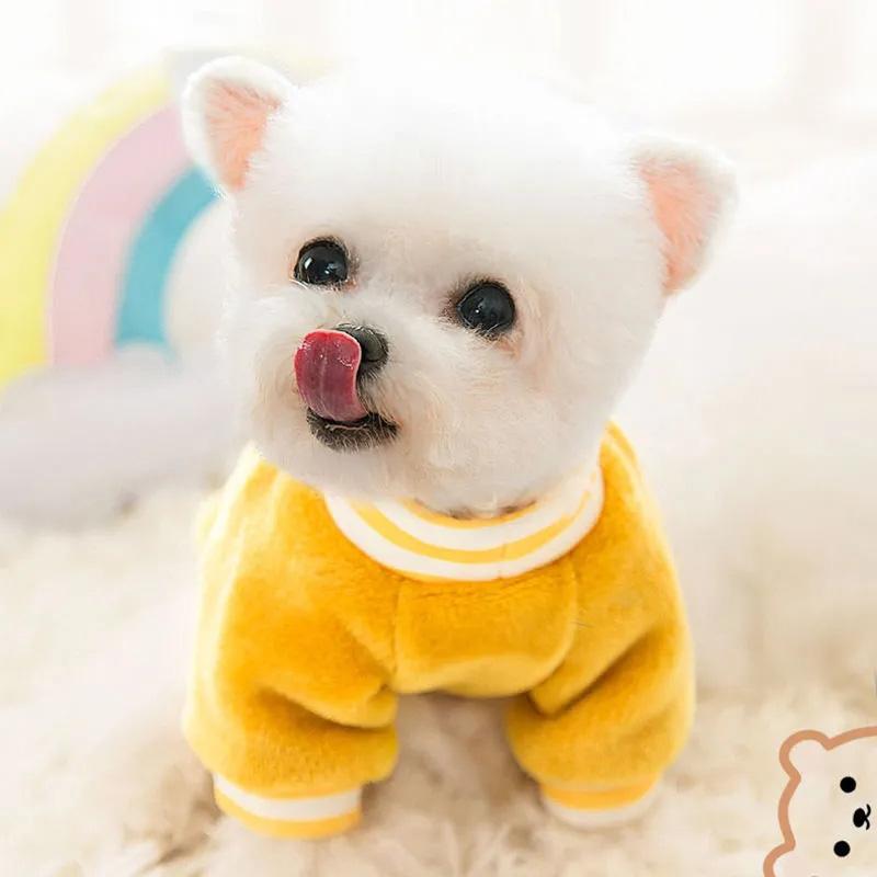 Cute Bear Dog Clothes Autumn and Winter Coral Fleece Sweater Cat Pet Small Dog Puppies Thickened Two-legged Clothes Warm Pet Winter Clothing