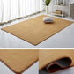 Simple and Modern Coral Velvet Carpet Living Room Home Mat Bedroom Bedside Carpet