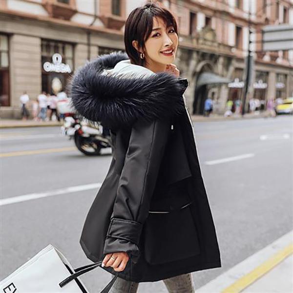 Winter Fashion Women's Cotton-padded Coat Loose Short Padded Padded Coat Student Parker Clothing Hooded Padded Jacket